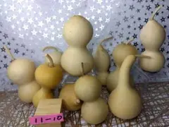 乾燥瓢箪10個セット　クラフト素材　11-10