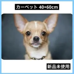 Item thumbnail for item 1f0cdbd2-6e76-4656-b2d0-6e1796c2d586