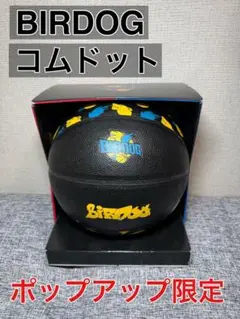 BIRDOG バードック バスケットボール ポップアップストア限定品 箱付き BIRDOG バードック バスケットボール ポップアップストア限定品