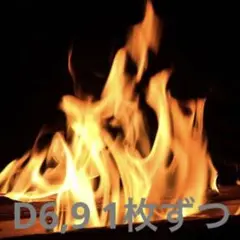 D6,9 2枚セット