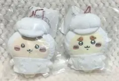 Item thumbnail for item 1f9ceb7c-c5cd-496c-b2d0-c0bde2f9f648