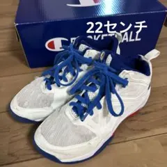 バッシュ22センチ