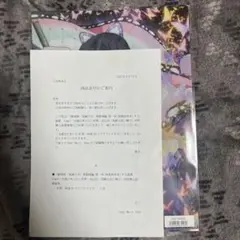 鬼滅の刃 富岡義勇 胡蝶しのぶ クリアファイル 無限城 限定100名当選品