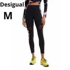 Item thumbnail for item 6d2be468-24be-4365-9737-41932521b433