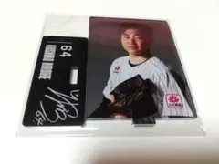 ロッテ 廣池選手 アクリルスタンド