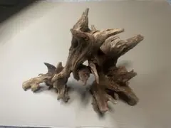 Item thumbnail for item c8c4b74b-bbce-47b2-85a9-bce2250c6b28