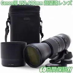 Item thumbnail for item 473701ab-d75f-4bfa-abe4-977b7f242f8c