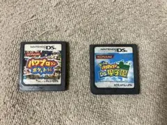 パワプロクンポケット14 & DS甲子園 2本セット