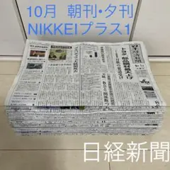 日経新聞 朝刊 夕刊 NIKKEIプラス1含む 2022年 10月分 まとめ売り