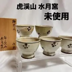 167-3/虎渓山/水月窯/荒川豊蔵/粉吹風酒器/盃5客徳利2客 Amazon.co.jp: 167-3/虎渓山/水月窯/荒川豊蔵/粉吹風酒器/盃5客
