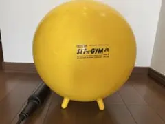 ギムニク シッティングジム45 子供用脚付バランスボール