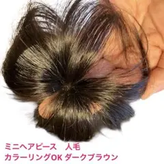 Item thumbnail for item 245f8a4c-bce1-4b58-88a6-c59ef5d8b706