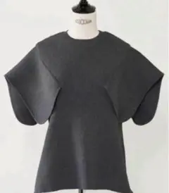 【美品】HEVE ヘイヴ　ペタルニット　アイボリー heve へイブ ペタルニット アイボリー