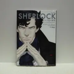 SHERLOCK ピンク色の研究（カドカワコミックス・エース）【即購入OK】