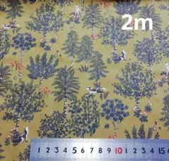 OSKikkā HOKKOH 　オオカミ　ふくろう　森　2m