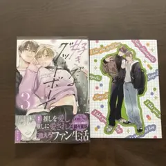 好きだよグッドボーイ 3 アニメイトリーフレット付き