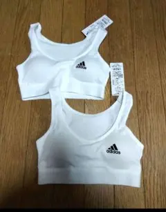 Item thumbnail for item 5b0cf0b4-29e2-44af-a3e9-c44e6eae20ee