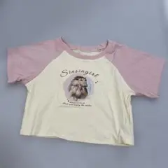 shein Tシャツ　XL