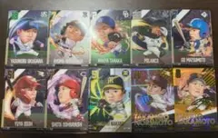 プロ野球 トレーディングカードセット