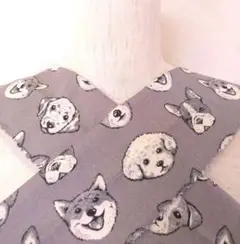 Item thumbnail for item 9fc95aa7-d37c-4b3a-a482-01bb474493f4