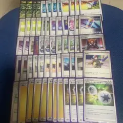 WCS2024 優勝デッキテツノイバラex