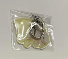 古澤里紗　アクキー