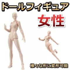 デッサン ドール フィギュア 女性 ウォマン 漫画 人形 デザイナー