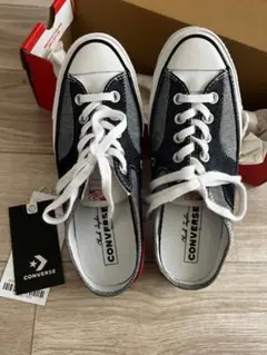 Item thumbnail for item 2efb0bd9-c833-4231-adcd-c3e7c01b98ca