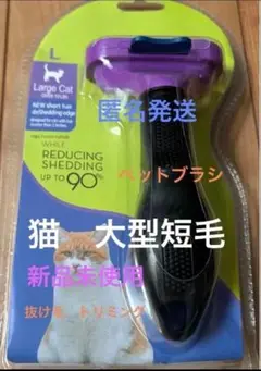 Item thumbnail for item 770c8489-3d38-494f-b84a-2e984a1bcd40