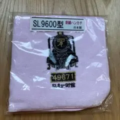 Item thumbnail for item 095e3f67-5f89-429f-b63e-8320c249f022