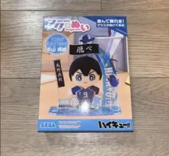 影山飛雄　アクぬい　SEGA
