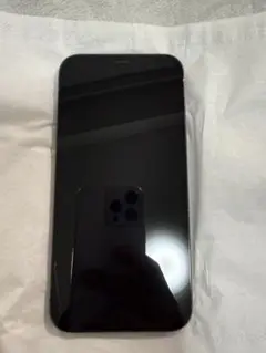 Apple iPhone 12 Pro Max 128 本体