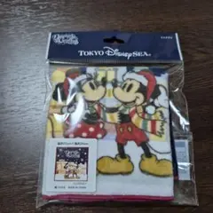ディズニー クリスマス ミニタオル【新品未開封】ミッキー ミニー