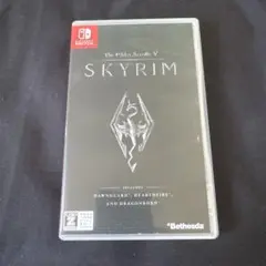 Switch THE ELDER SCROLLS V: SKYRIM スカイリム