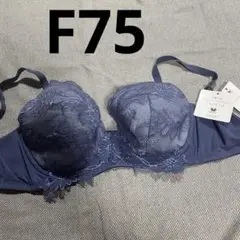 新品　ワコール　豪華レース　ラゼ　とろぴたブラ・ブラジャー「F75・ネイビー」