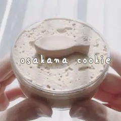 おさかなくっきー スライム フィズスライム 160ml