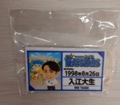 ☆横浜DeNAベイスターズ　入江大生選手　バッチ☆