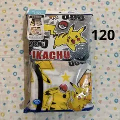新品、120☆ポケモン、リザードン☆ボーイズインナー、ボクサーブリーフ2枚
