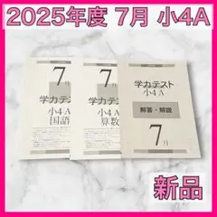 育伸社 学力テスト 2025年 7月 小4 A 2科 解答解説 国 算　過去問