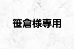 専用出品