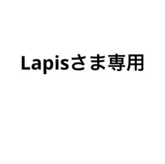 Lapisさま専用　ホワイトペキニーズ のぬいぐるみ