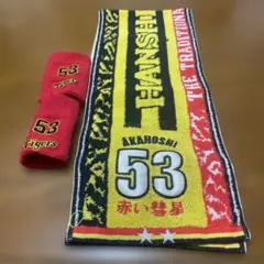 レアな赤星選手グッズ　阪神タイガース 赤星選手応援タオルとリストバンドセット