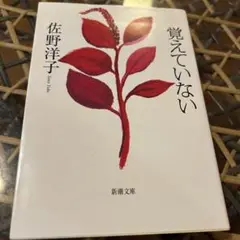 覚えていない