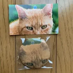 パペットスンスン　猫　缶バッジ、スマロイド
