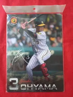 阪神タイガース　大山選手　下敷き