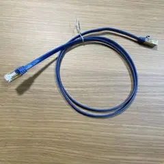 青いLANケーブル 1m