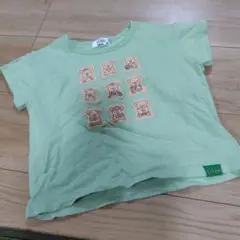 コアラのマーチ　Tシャツ　100cm