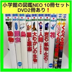 Item thumbnail for item 311c966c-a3cd-44ef-963d-885ec6613a2d