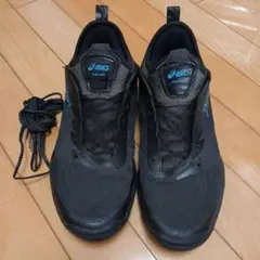 Item thumbnail for item d0cdfa9b-1a20-4a09-82b9-3f4ad7ad40a7