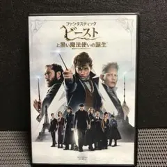 ファンタスティック・ビーストと黒い魔法使いの誕生('18英/米)